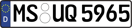 MS-UQ5965