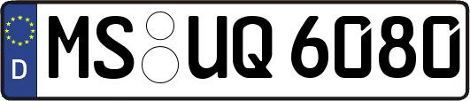 MS-UQ6080