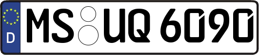 MS-UQ6090
