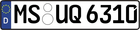 MS-UQ6310