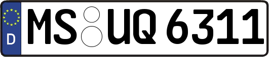 MS-UQ6311