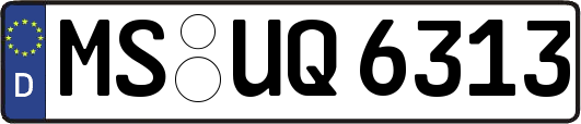 MS-UQ6313