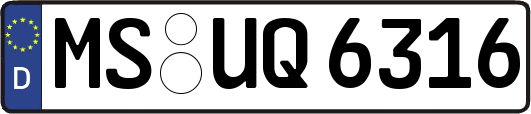 MS-UQ6316