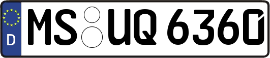 MS-UQ6360