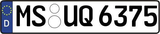 MS-UQ6375
