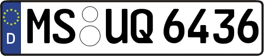 MS-UQ6436