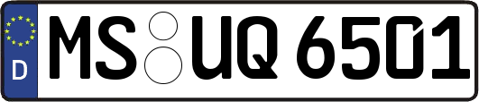 MS-UQ6501
