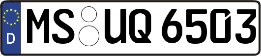 MS-UQ6503