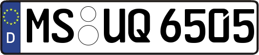 MS-UQ6505