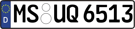 MS-UQ6513