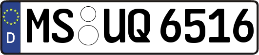 MS-UQ6516