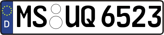 MS-UQ6523
