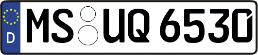 MS-UQ6530