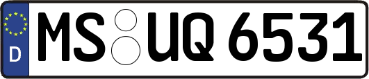 MS-UQ6531