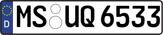 MS-UQ6533