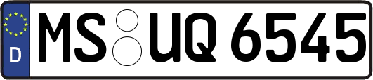 MS-UQ6545