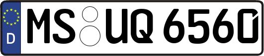 MS-UQ6560