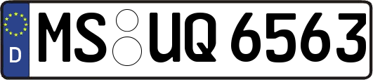 MS-UQ6563