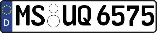 MS-UQ6575