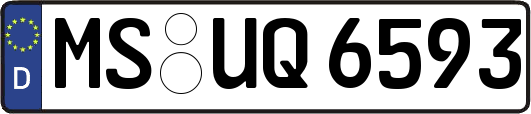 MS-UQ6593