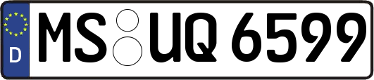 MS-UQ6599