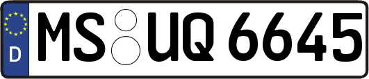 MS-UQ6645
