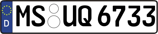 MS-UQ6733