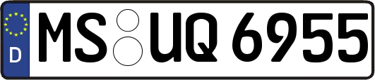 MS-UQ6955