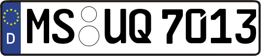 MS-UQ7013