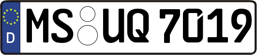 MS-UQ7019