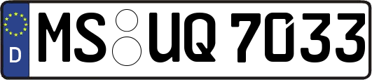 MS-UQ7033