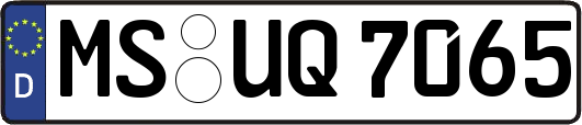 MS-UQ7065