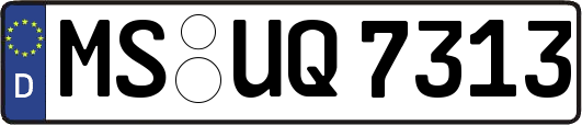 MS-UQ7313