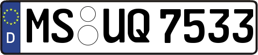 MS-UQ7533