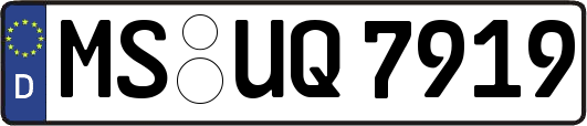 MS-UQ7919
