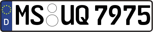 MS-UQ7975