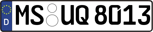 MS-UQ8013