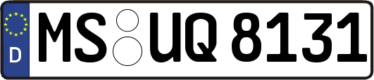 MS-UQ8131