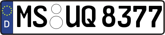 MS-UQ8377