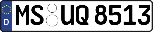 MS-UQ8513