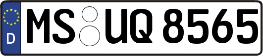 MS-UQ8565