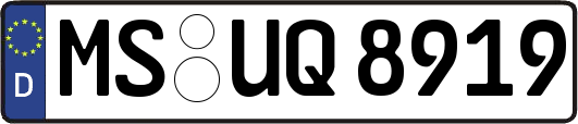 MS-UQ8919