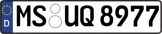 MS-UQ8977