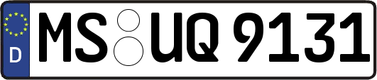 MS-UQ9131