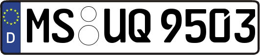 MS-UQ9503