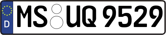 MS-UQ9529
