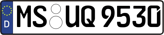 MS-UQ9530