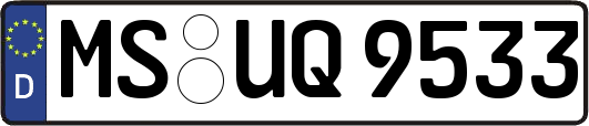 MS-UQ9533