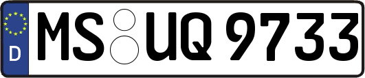 MS-UQ9733