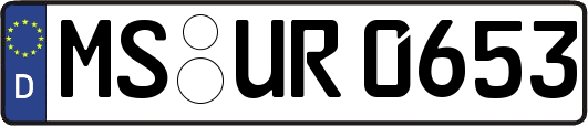 MS-UR0653